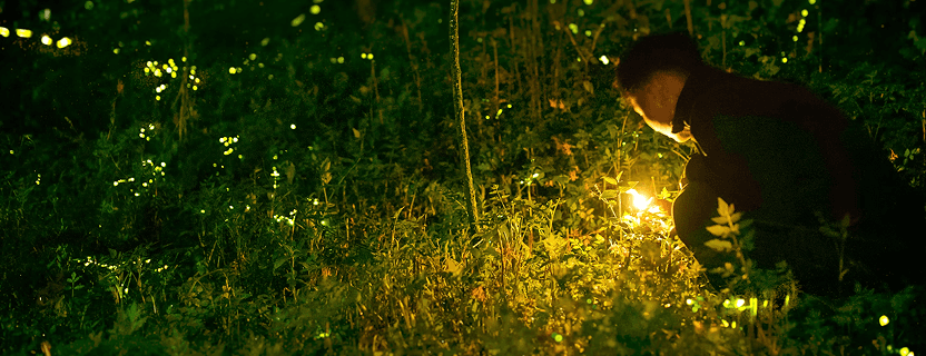 Activity Banner 1