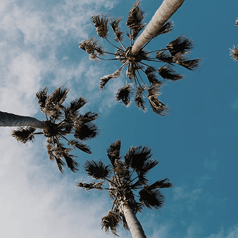 Activity Banner 200