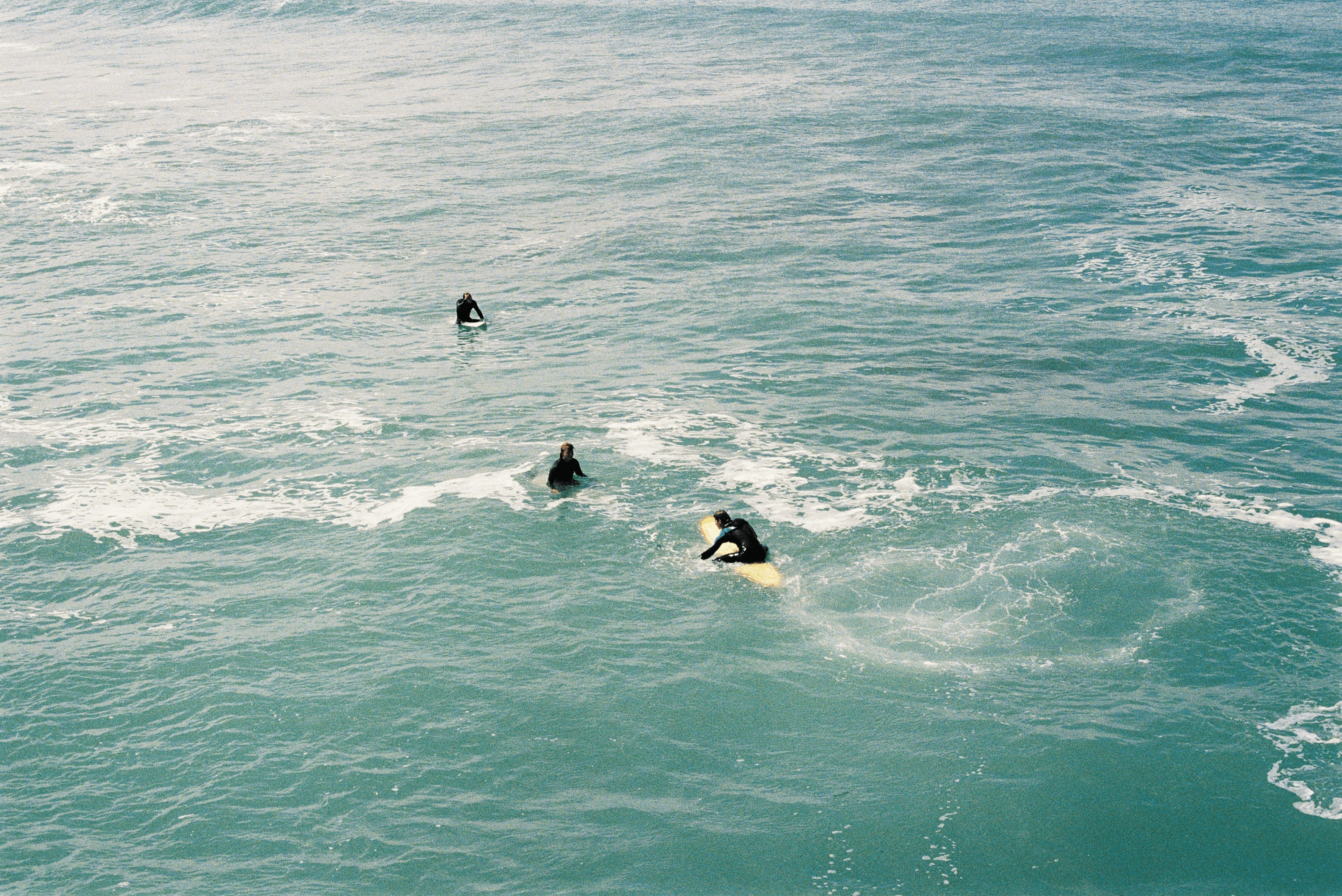 Activity Banner 800